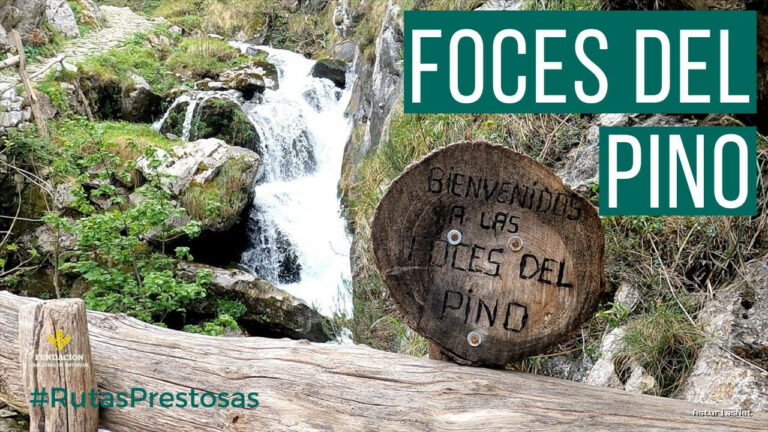 Prestosu | 28 de abril de 2022 | Canal Prestosu | Rutas prestosas: Las Foces del Pino, Aller (circular)