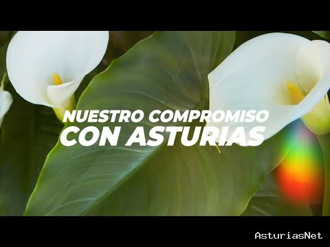 Prestosu | 5 de julio de 2022 | Canal Prestosu | Nuestro compromiso con Asturias: nuestra razón de ser