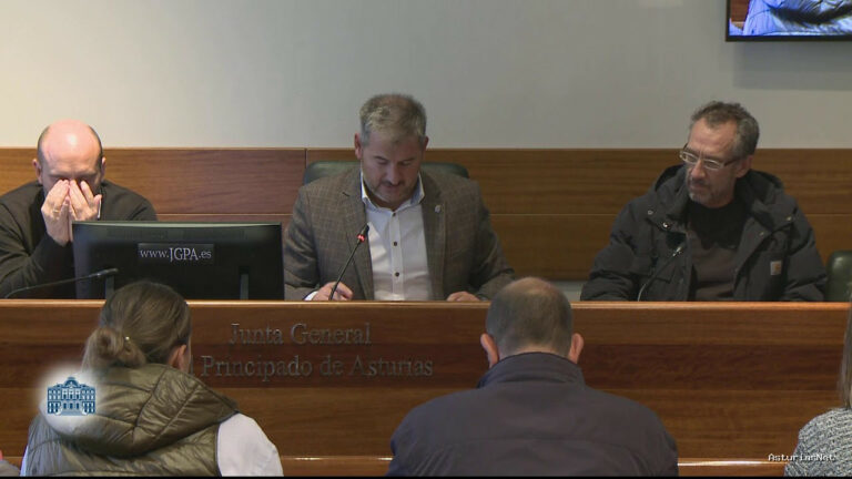 Junta General Principado de Asturias (JGPA) | 29 de septiembre de 2022 | Comisión de Ciencia, Innovación y Universidad