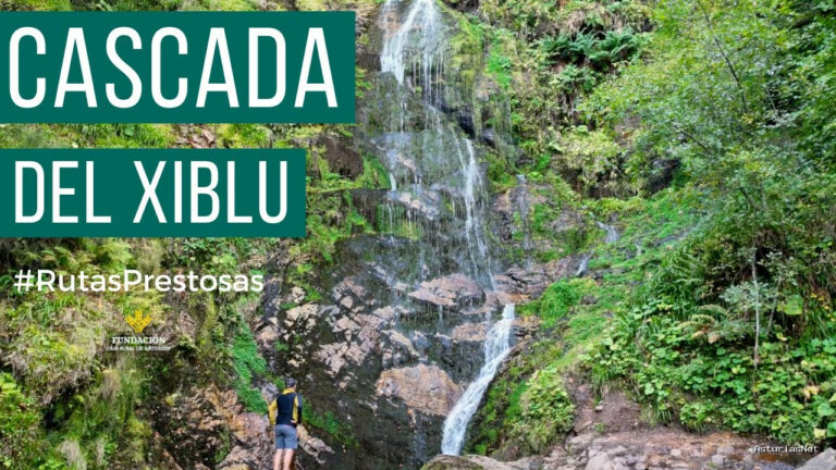 Prestosu | 6 de octubre de 2022 | Canal Prestosu | Rutas prestosas: ruta Hayedo de Montegrande – Cascada de Xiblu