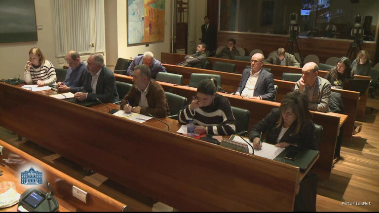 Junta General Principado de Asturias (JGPA) | 11 de noviembre de 2022 | Comisión de Educación