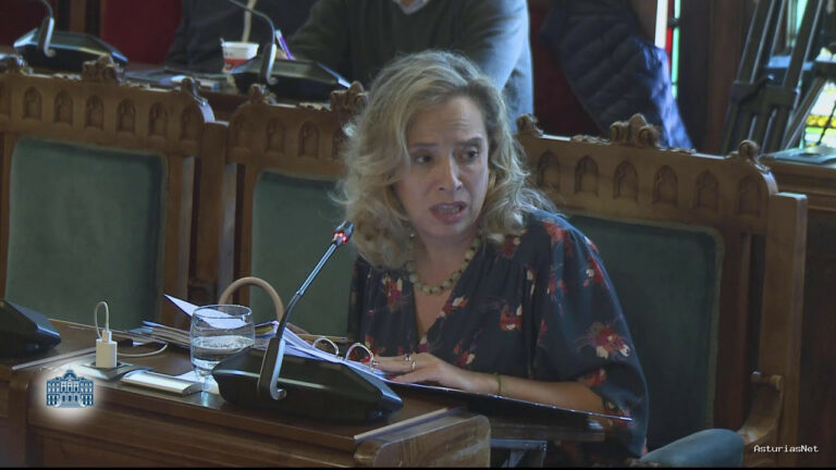 Junta General Principado de Asturias (JGPA) | 10 de noviembre de 2022 | Comisión de Industria, Empleo y Promoción Económica