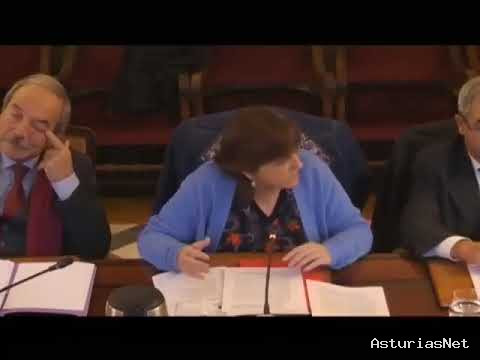 Ayuntamiento de Oviedo | 7 de diciembre de 2022 | Pleno ordinario 7 de diciembre 2022