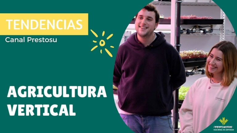 Prestosu | 27 de enero de 2023 | Canal Prestosu | Tendencias: qué es la agricultura vertical