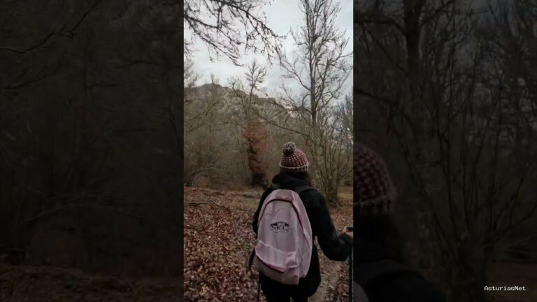 Viajar desde Asturias | 6 de febrero de 2023 | Paseo por el bosque en otoño mientras escucho una canción melancólica