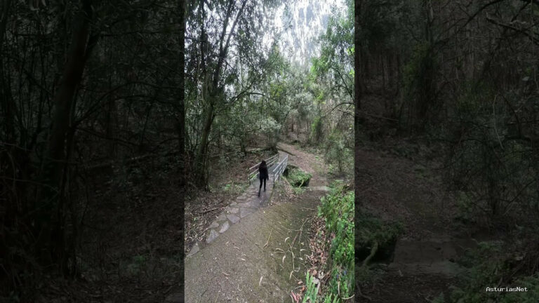 Viajar desde Asturias | 23 de marzo de 2023 | Una ruta en asturias repleta de miradores al mar cantabrico y acantilados