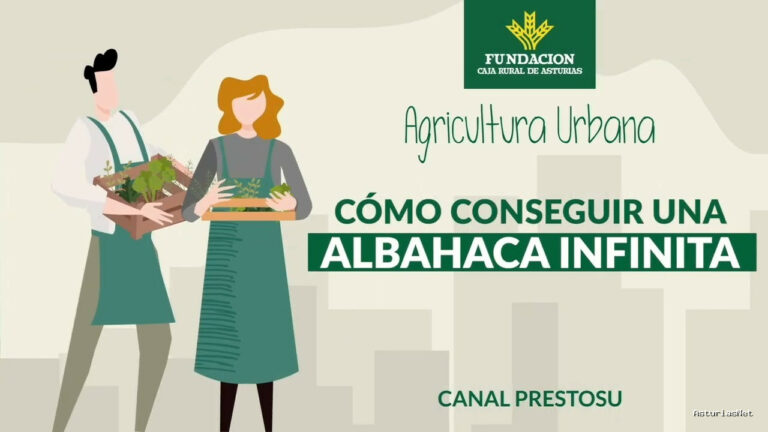 Prestosu | 29 de marzo de 2023 | Canal Prestosu | Agricultura urbana: consejos para que la dure para siempre