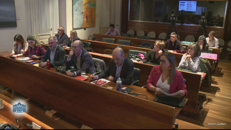 Junta General Principado de Asturias (JGPA) | 23 de marzo de 2023 | Comisión de Medio Rural y Cohesión Territorial