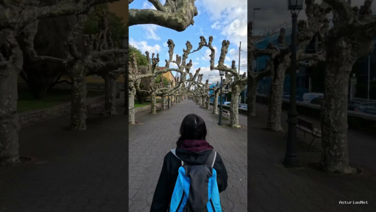 Viajar desde Asturias | 12 de abril de 2023 | Itinerario para venir a Asturias de vacaciones, saber que visitar y que comer ¡Parte 2!