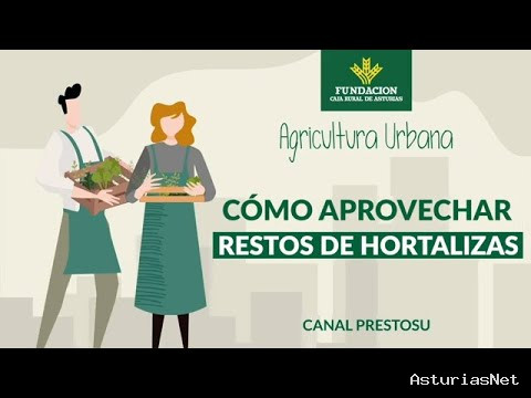 Prestosu | 26 de abril de 2023 | Canal Prestosu | Agricultura urbana: cómo aprovechar restos de hortalizas