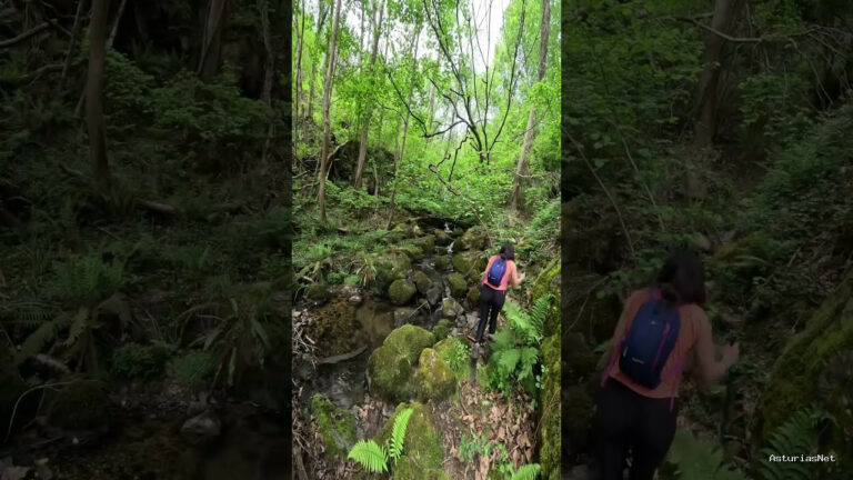 Viajar desde Asturias | 13 de mayo de 2023 | Caminando por un bosque ascendiendo por el río Guanga