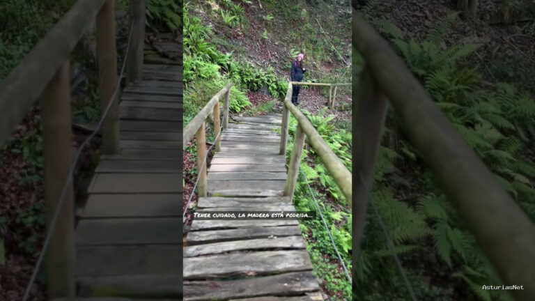 Viajar desde Asturias | 15 de mayo de 2023 | En nuestra última ruta de senderismo por asturias atravesamos por este puente de madera con cuidado