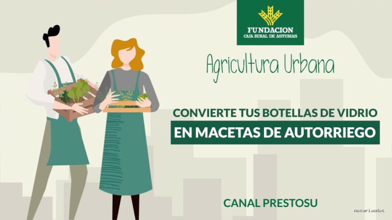 Prestosu | 31 de mayo de 2023 | Canal Prestosu | Agricultura urbana: cómo transformar botellas de vidrio en macetas de autorriego