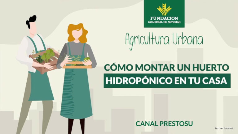 Prestosu | 17 de mayo de 2023 | Canal Prestosu | Agricultura urbana: cómo montar un huerto hidropónico en casa