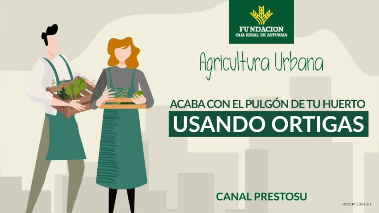 Prestosu | 28 de junio de 2023 | Canal Prestosu | Agricultura urbana: cómo acabar con el pulgón de tu