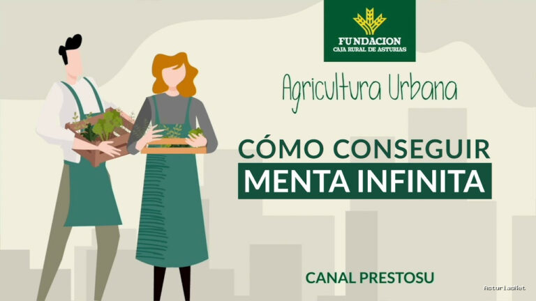 Prestosu | 21 de junio de 2023 | Canal Prestosu | Agricultura urbana: cómo conseguir una menta infinita