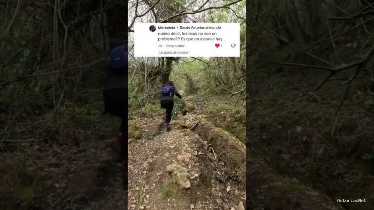 Viajar desde Asturias | 27 de junio de 2023 | Que hacer si te aparece un oso caminando por la montaña en Asturias