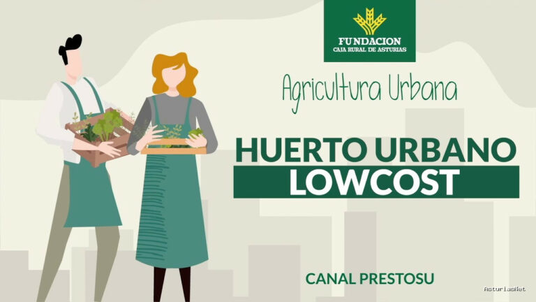 Prestosu | 7 de junio de 2023 | Canal Prestosu | Agricultura urbana: cómo hacer un huerto urbano