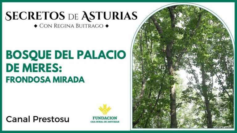 Prestosu | 25 de julio de 2023 | Canal Prestosu | Secretos de Asturias: Bosque del Palacio de Meres