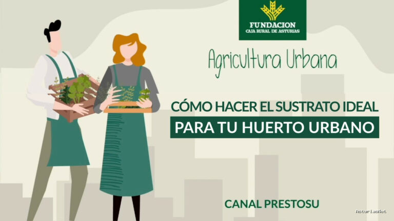 Prestosu | 26 de julio de 2023 | Canal Prestosu | Agricultura urbana: cómo hacer el sustrato ideal para tu huerto urbano
