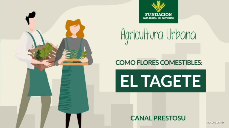 Prestosu | 2 de agosto de 2023 | Canal Prestosu | Agricultura urbana: ¿sabías que el es una comestible?