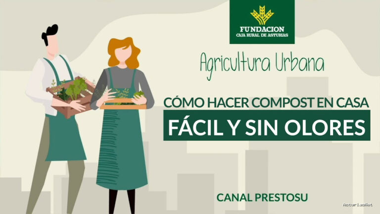 Prestosu | 30 de agosto de 2023 | Canal Prestosu | Agricultura urbana: cómo hacer casero, Fácil y SIN Olores método