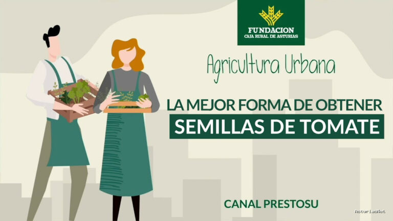 Prestosu | 16 de agosto de 2023 | Canal Prestosu | Agricultura urbana: la mejor manera de obtener de