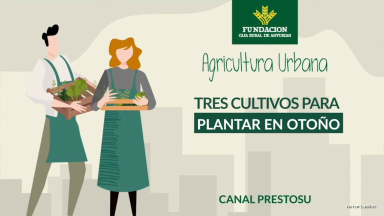 Prestosu | 27 de septiembre de 2023 | Canal Prestosu | Agricultura urbana: 3 cultivos para plantar en en tu