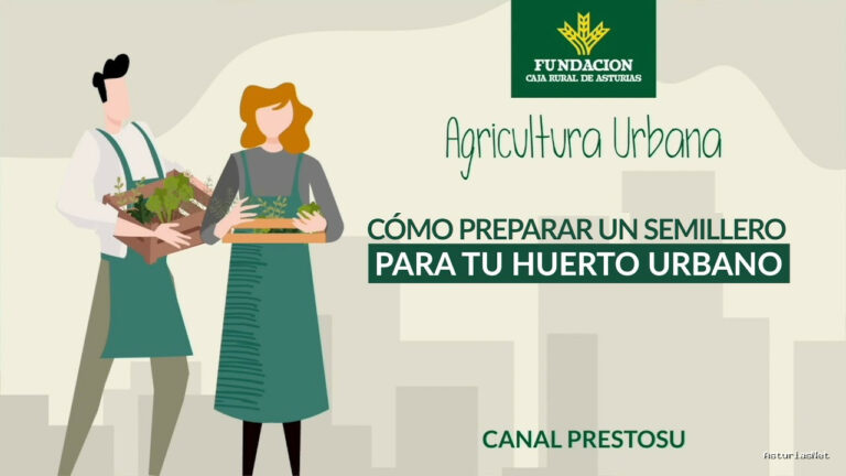 Prestosu | 20 de septiembre de 2023 | Canal Prestosu | Agricultura urbana: cómo preparar un para tu
