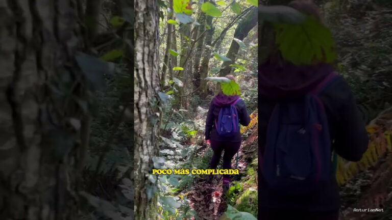 Viajar desde Asturias | 18 de septiembre de 2023 | Descubrimos un paraíso oculto en el interior de un bosque asturiano