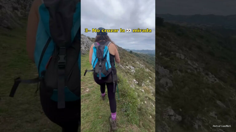 Viajar desde Asturias | 15 de septiembre de 2023 | Es frecuente cruzarse con mastines que cuidan su ganado