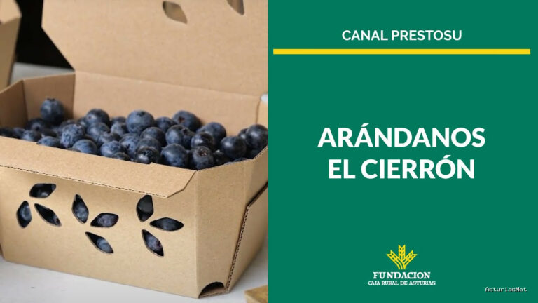 Prestosu | 29 de octubre de 2023 | Canal Prestosu | Nuestro compromiso con Asturias: Arándanos El Cierrón