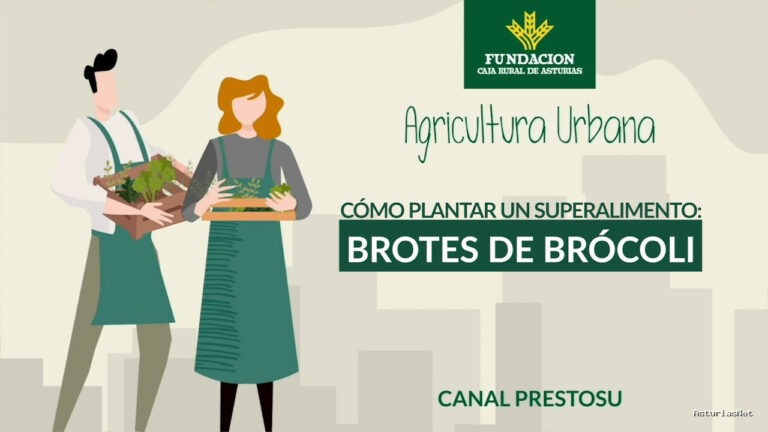 Prestosu | 25 de octubre de 2023 | Canal Prestosu | Agricultura urbana: cómo plantar brócoli en tu