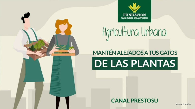 Prestosu | 4 de octubre de 2023 | Canal Prestosu | Agricultura urbana: consejos para mantener a los gatos alejados de tus plantas