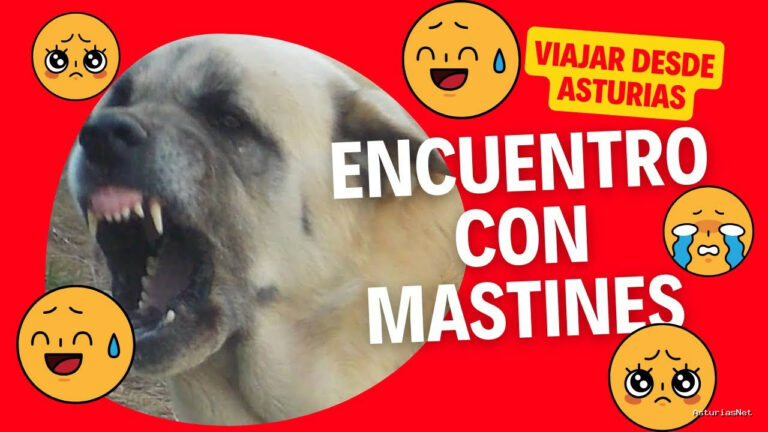 Viajar desde Asturias | 28 de octubre de 2023 | Encuentro con mastines en un sendero de Asturias