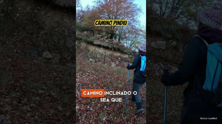 Viajar desde Asturias | 20 de noviembre de 2023 | Atravesamos un camino de bastante inclinación en nuestro ascenso a la montaña de los picos de Europa