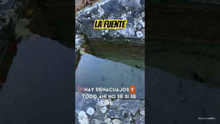 Viajar desde Asturias | 20 de noviembre de 2023 | Las fuentes para que beba el ganado.