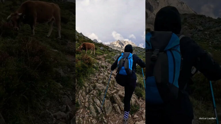 Viajar desde Asturias | 1 de noviembre de 2023 | Nos encontramos en el corazon de Asturias; en los picos de europa haciendo una ruta de senderismo