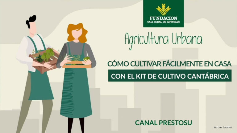 Prestosu | 8 de noviembre de 2023 | Canal Prestosu | Agricultura urbana: cultivar en casa es muy fácil con este kit de