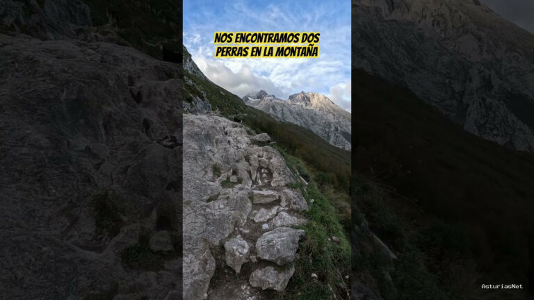 Viajar desde Asturias | 16 de noviembre de 2023 | Nos encontramos dos perras en la montaña