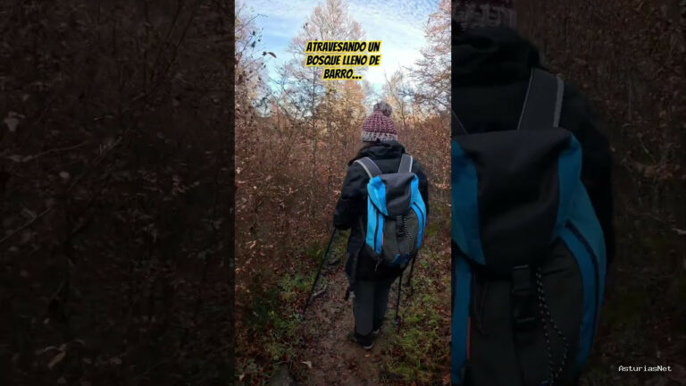 Viajar desde Asturias | 20 de noviembre de 2023 | Atravesando por un bosque lleno de barro en el corazón de los picos de Europa