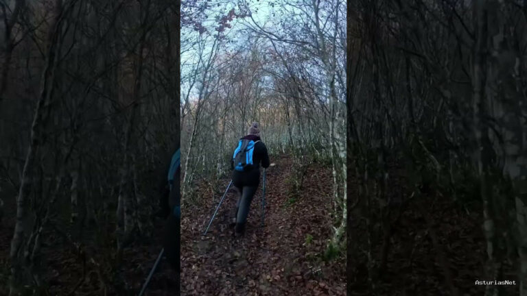 Viajar desde Asturias | 21 de noviembre de 2023 | Caminamos por un bosque que parece sacado de una película de Tim Burton