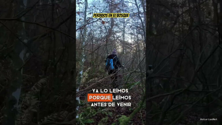 Viajar desde Asturias | 20 de noviembre de 2023 | Perdidos en un bosque en el medio de los Picos de Europa