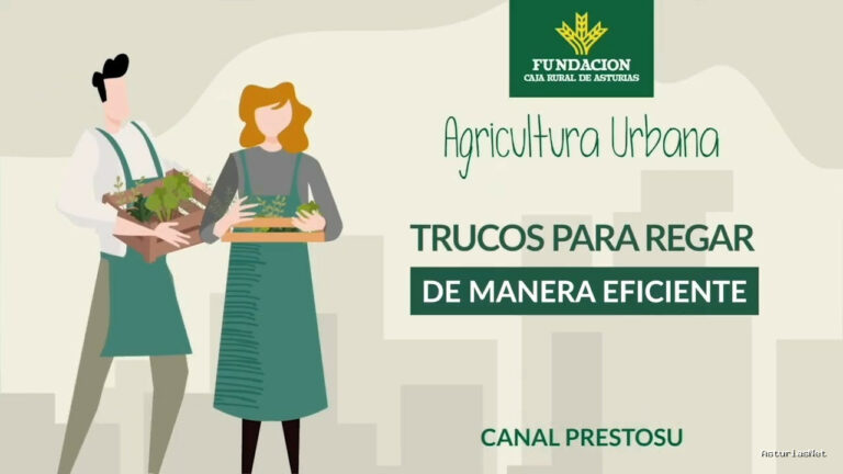 Prestosu | 2 de noviembre de 2023 | Canal Prestosu | Agricultura urbana: ¿Cómo regar tu huerto urbano? ¡Te damos los mejores consejos!