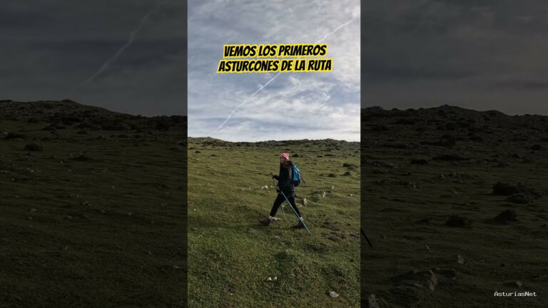 Viajar desde Asturias | 15 de noviembre de 2023 | Vemos los primeros caballos astur o es de la ruta