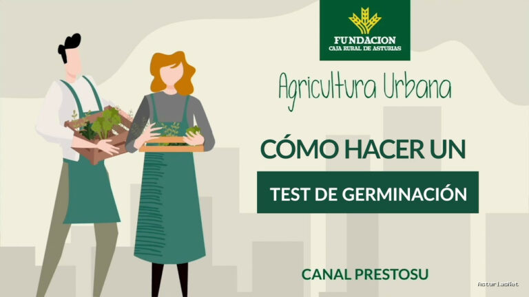 Prestosu | 29 de noviembre de 2023 | Canal Prestosu | Agricultura urbana: cómo hacer un test de en casa