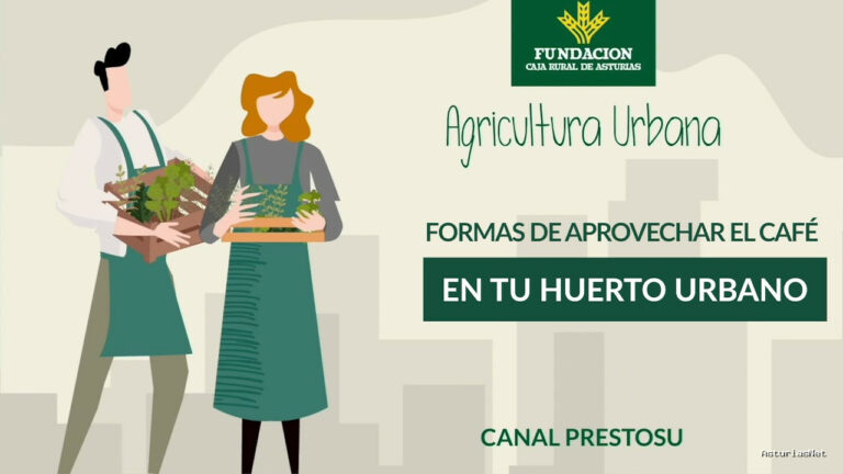 Prestosu | 15 de noviembre de 2023 | Canal Prestosu | Agricultura urbana: cómo aprovechar los posos del en tu