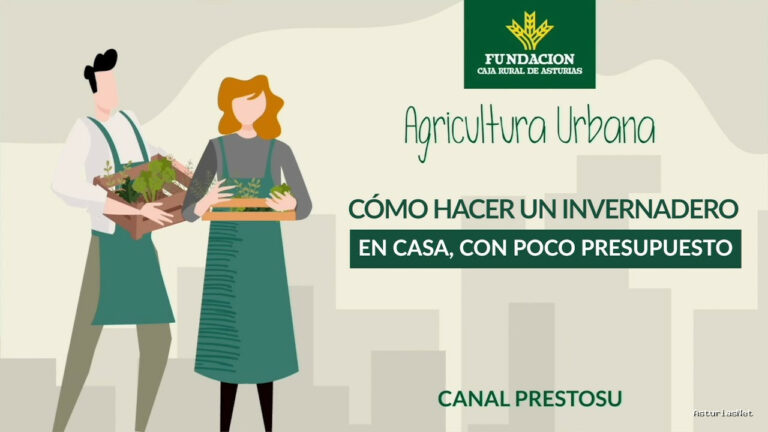 Prestosu | 22 de noviembre de 2023 | Canal Prestosu | Agricultura urbana: cómo hacer un en casa con poco presupuesto