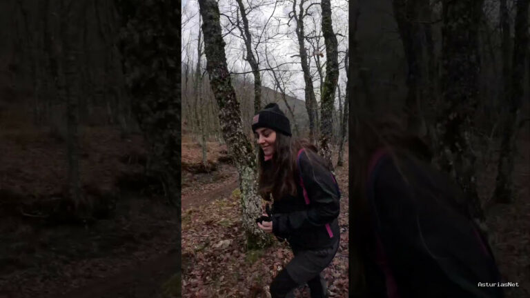 Viajar desde Asturias | 13 de diciembre de 2023 | En el medio de un bosque de hayas en la montaña palentina