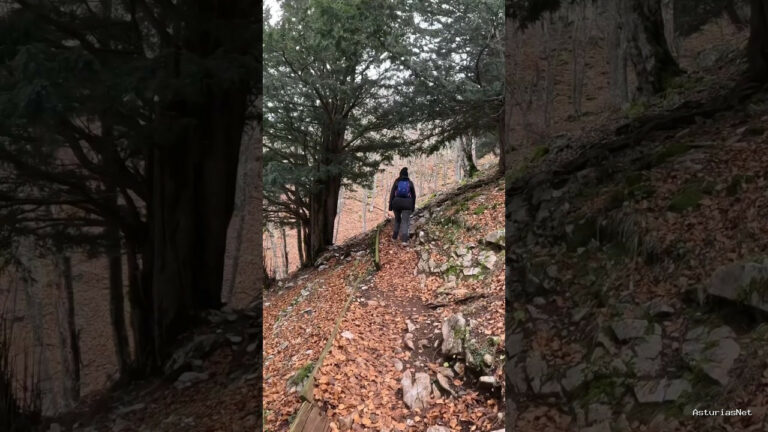Viajar desde Asturias | 12 de diciembre de 2023 | Buscando el árbol de la muerte